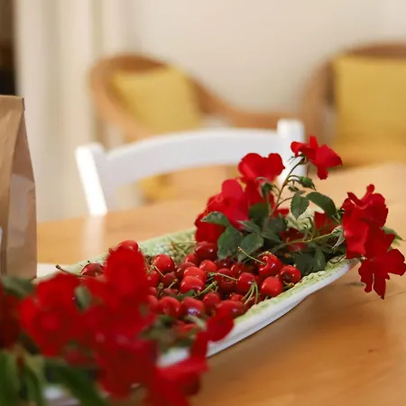 Villa Td Trulli Della Rosatella Typical Trulli With Pool Castellana Grotte